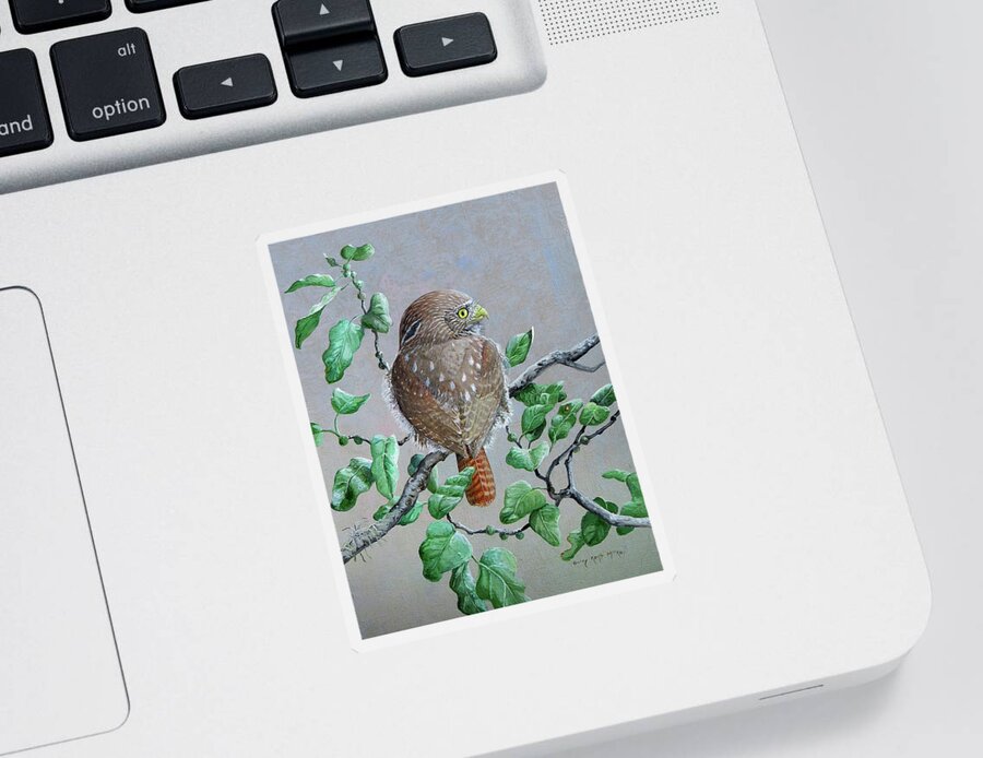 Ferruginous Pygmy Owl Sticker featuring the painting Ferruginous Pygmy-Owl by Barry Kent MacKay