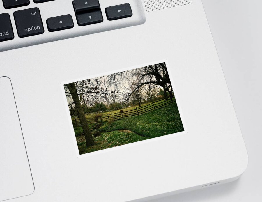 Colonial Williamsburg Sticker featuring the photograph Field and Stream by Rachel Morrison