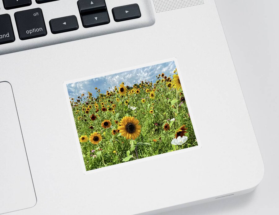 Field Of Flowers Sticker featuring the photograph Field of Flowers by Rick Nelson