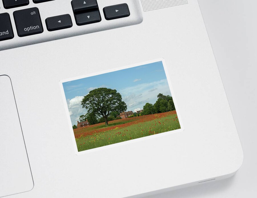 Circle Sticker featuring the photograph Field of poppies by Average Images