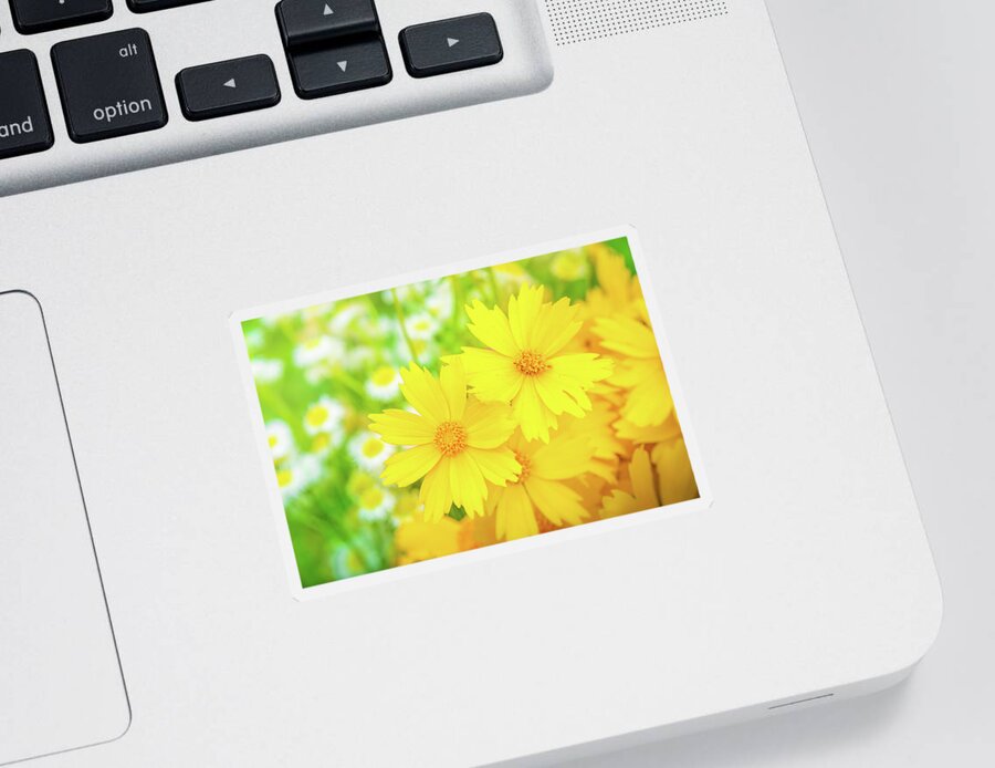 Flowers Sticker featuring the photograph Field Of Spring Flowers by Jordan Hill