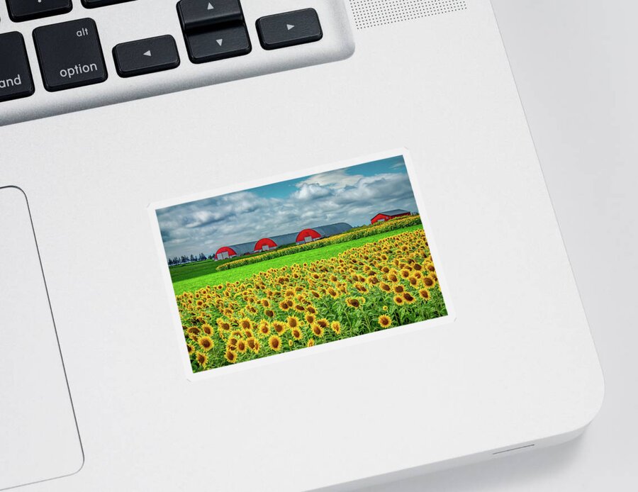 Pei Sticker featuring the photograph Fields of Happiness by Marcy Wielfaert