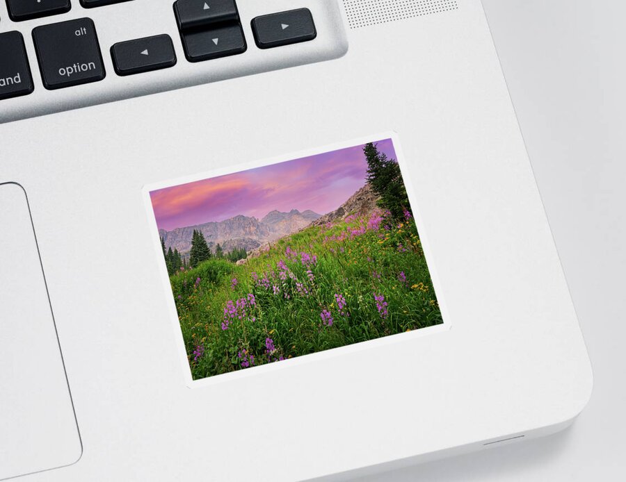 Landscape Sticker featuring the photograph Fields of Wildflowers by Dan Jurak