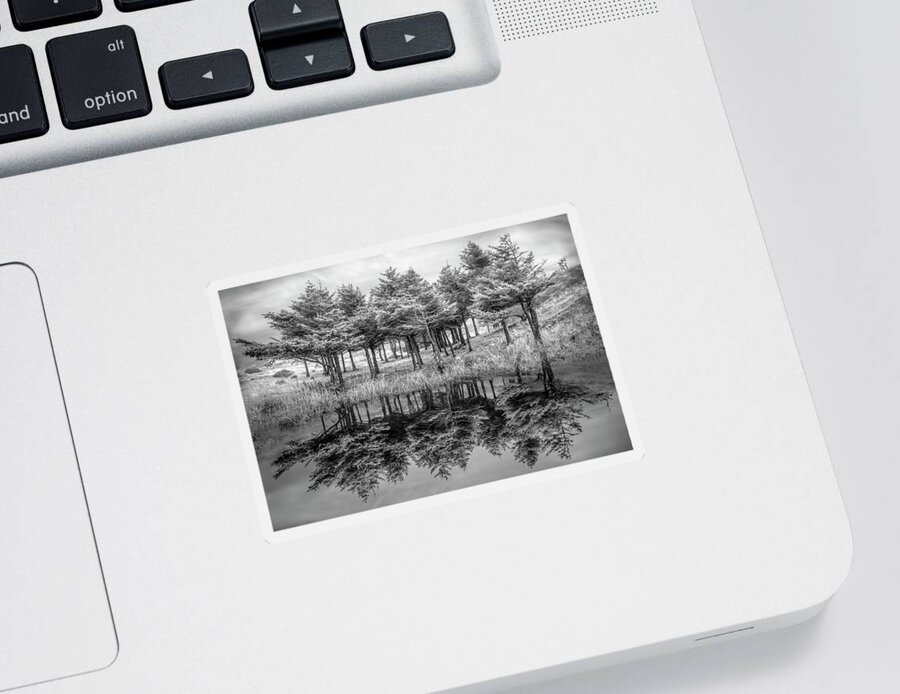 Black Sticker featuring the photograph Fire in the Lake Black and White by Debra and Dave Vanderlaan