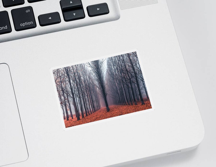 Anevsko Kale Sticker featuring the photograph First In the Line by Evgeni Dinev
