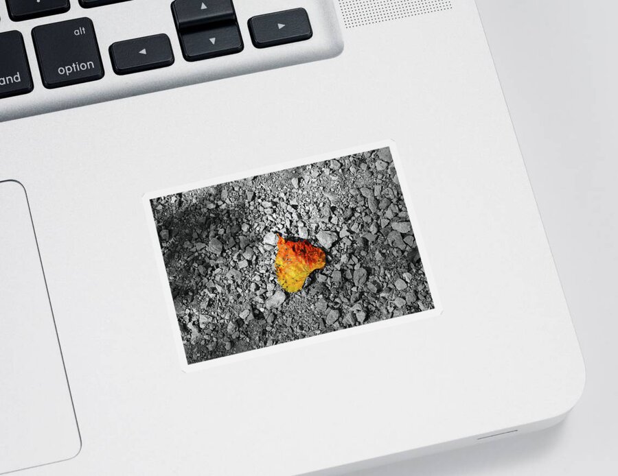 Leaf Sticker featuring the photograph First Leaf of Autumn by Christopher Reed