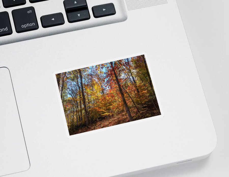 Flovilla Sticker featuring the photograph Flovilla Hillside Tree Colorations by Ed Williams