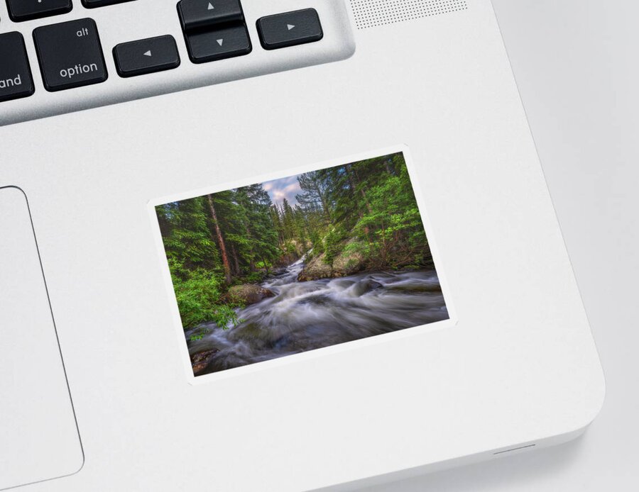 Colorado Sticker featuring the photograph Flow of the Forest by Darren White