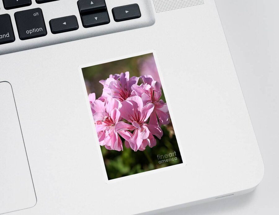 Cranesbills Sticker featuring the photograph Flower-geranium-pink by Joy Watson