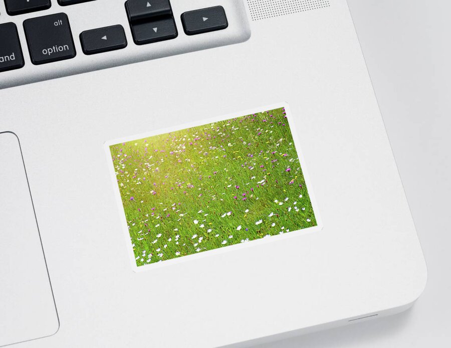 Idyllic Sticker featuring the photograph Flower meadow in sunlight by Bernhard Schaffer