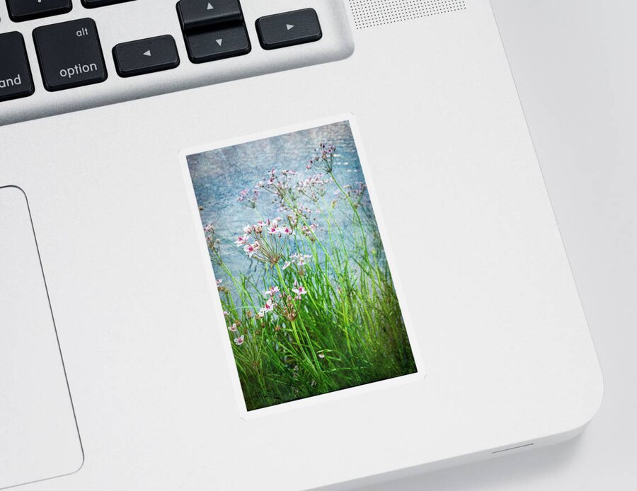 Flowers Sticker featuring the photograph Flowering Rush by Mary Lee Dereske
