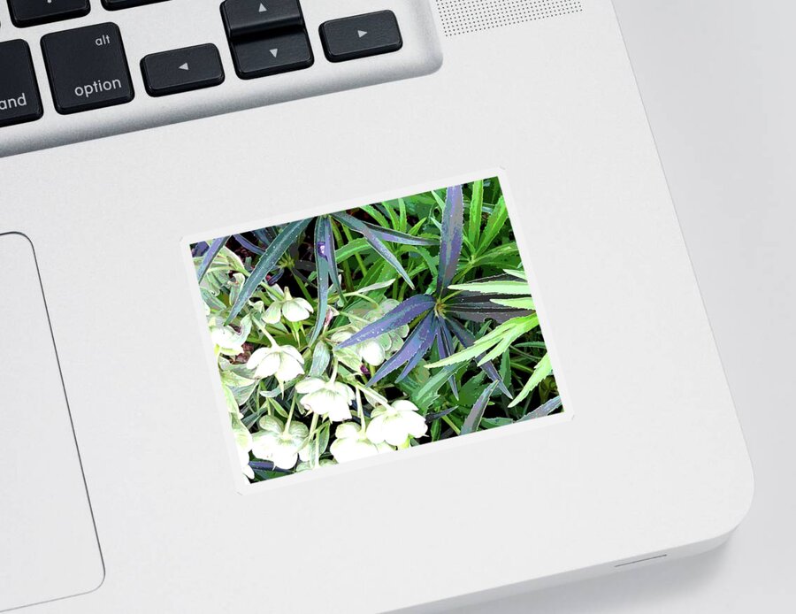 Flowers Sticker featuring the digital art Flowers and Foliage by Nancy Olivia Hoffmann