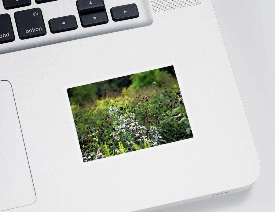 Flowers Sticker featuring the photograph Flowers at the End of Summer by Christopher Reed