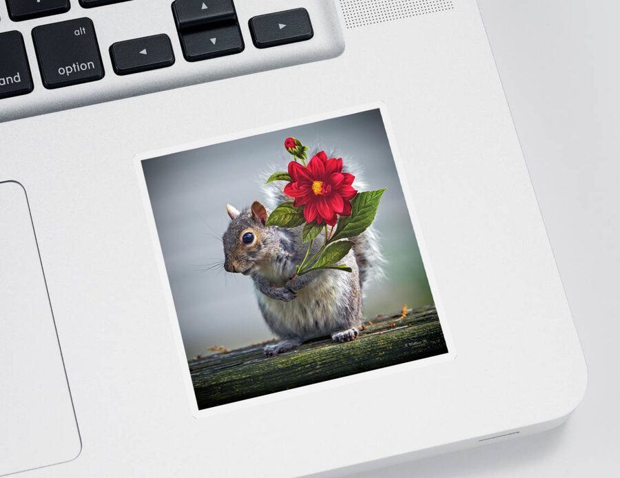 2d Sticker featuring the photograph Flowers For You by Brian Wallace