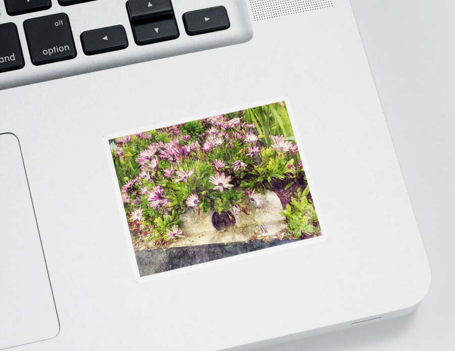 Pink Flowers Sticker featuring the photograph Flowers over a Storm Drain by Davy Cheng