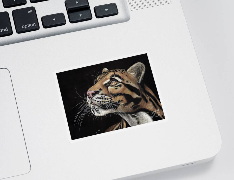 Clouded Leopard Sticker featuring the drawing Focus by Sheryl Unwin
