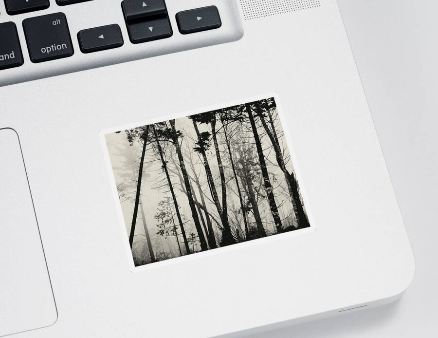 Fog Sticker featuring the photograph Fog in Trees by Katie Dobies