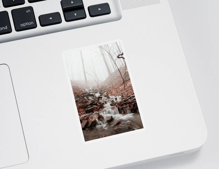 Foggy Sticker featuring the photograph Foggy morning in a deciduous forest by Vaclav Sonnek