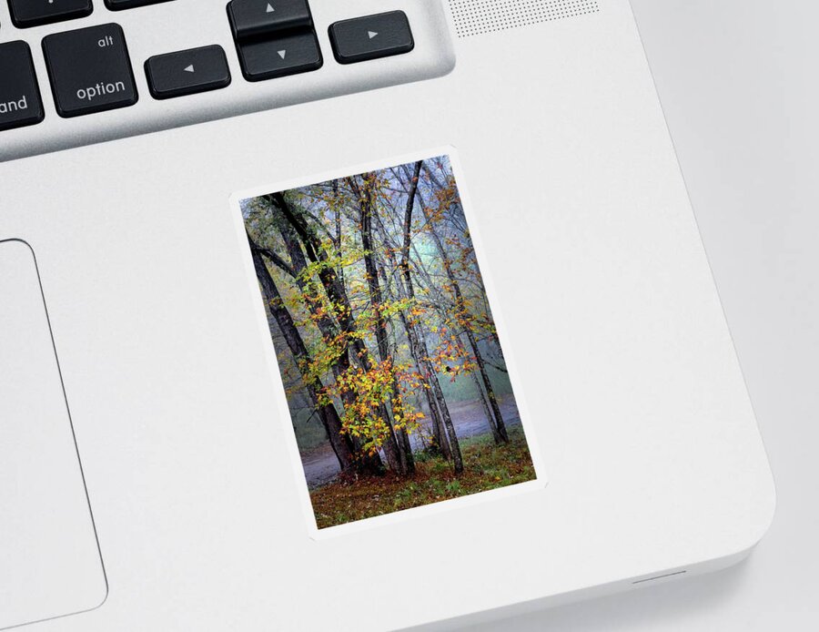 Carolina Sticker featuring the photograph Foggy Mountain Morning by Debra and Dave Vanderlaan