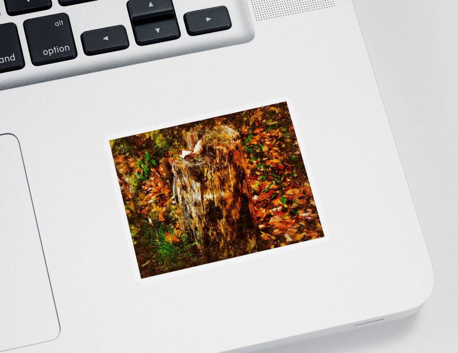 Stump Sticker featuring the mixed media Forest Floor in Autumn by Christopher Reed