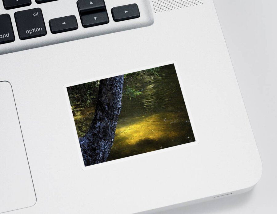 Yosemite Sticker featuring the photograph Forest glow by Eyes Of CC