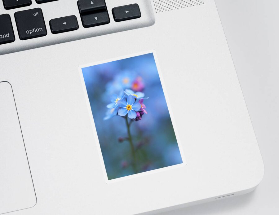 Forget-me-not Sticker featuring the photograph Forget Me Not by Maria Meester