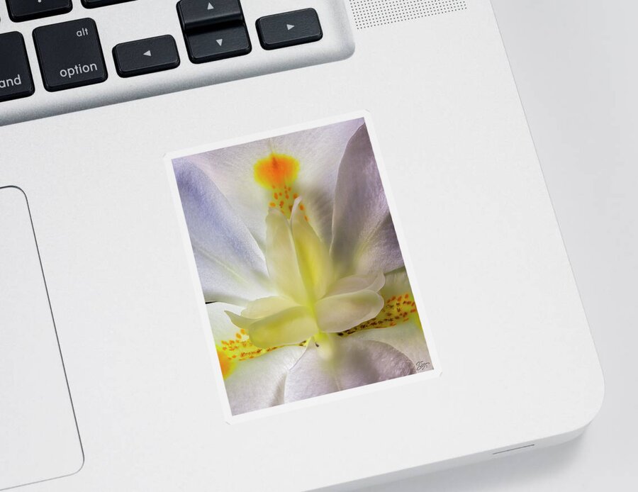 Fortnight Lily Sticker featuring the photograph Fortnight Lily Closeup by Endre Balogh