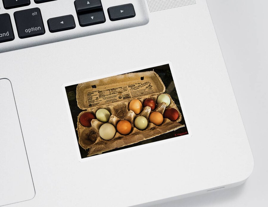 Eggs Sticker featuring the photograph Free-Range Eggs by Rene Vasquez