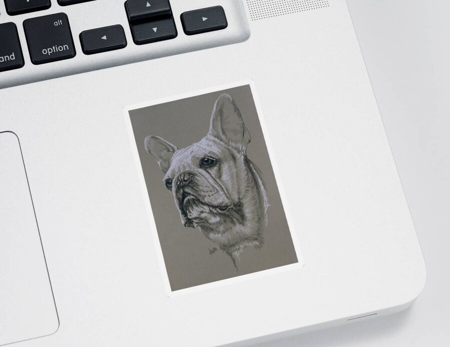 Dog Sticker featuring the drawing French Bulldog in Graphite by Barbara Keith