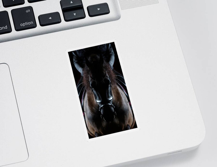 Friesian Symmetry Sticker featuring the photograph Friesian Symmetry by Wes and Dotty Weber
