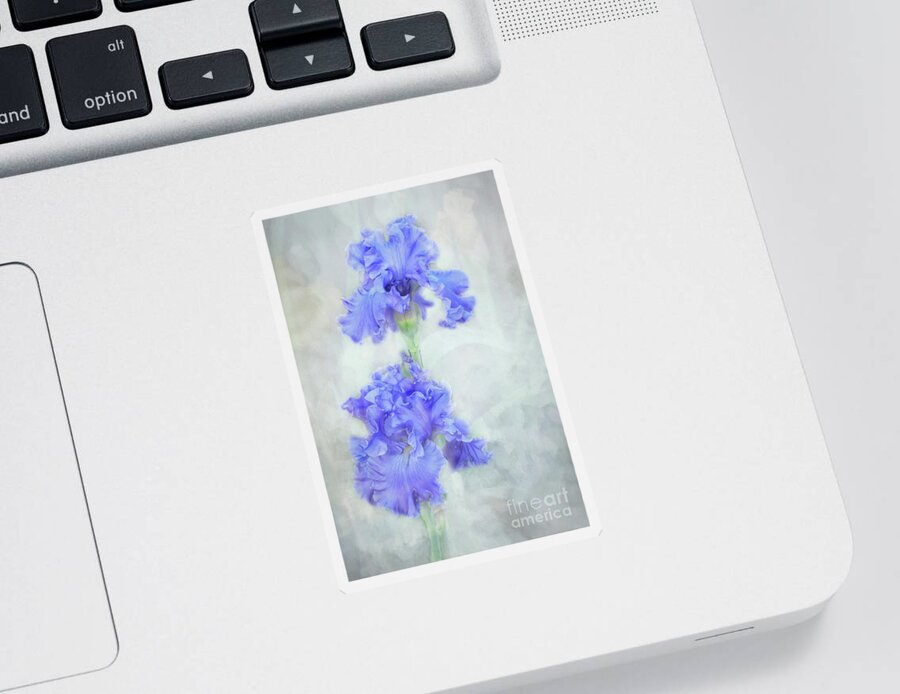 Iris Sticker featuring the photograph Frilly Flowering Irises by Amy Dundon