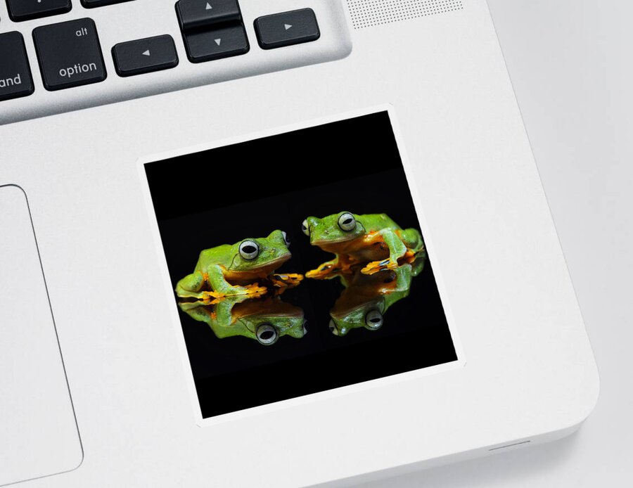 Frogs Sticker featuring the photograph Frogs In the Dark by World Art Collective