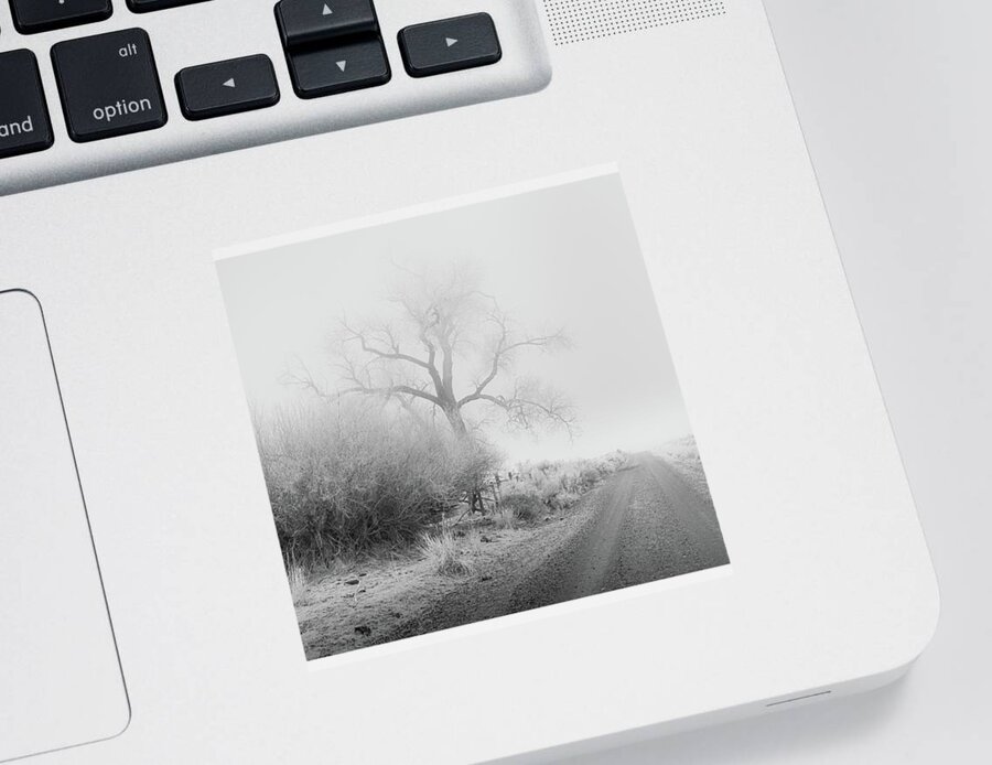 Nature Sticker featuring the photograph Frosty Cottonwood in Fog - Monochrome by Mike Lee