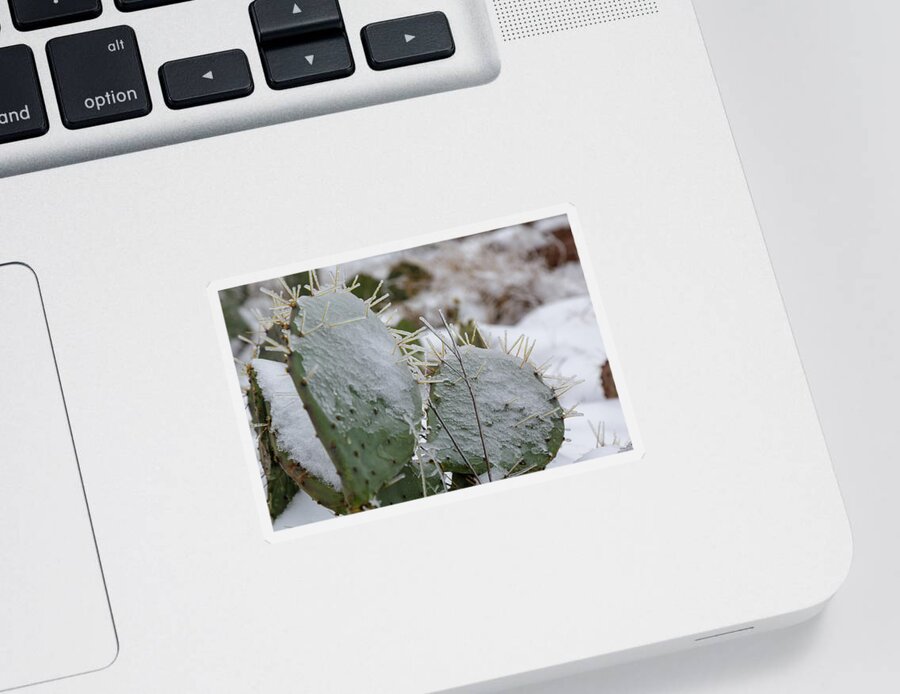 Prickly Sticker featuring the photograph Frozen Prickly Pear by Steve Templeton