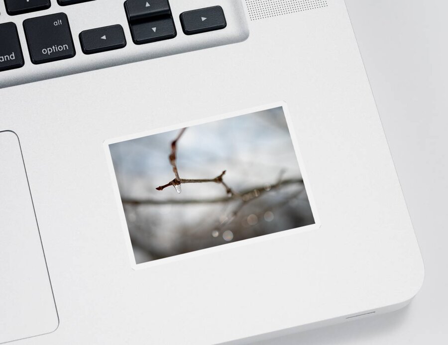Photo Sticker featuring the photograph Frozen Twig by Evan Foster