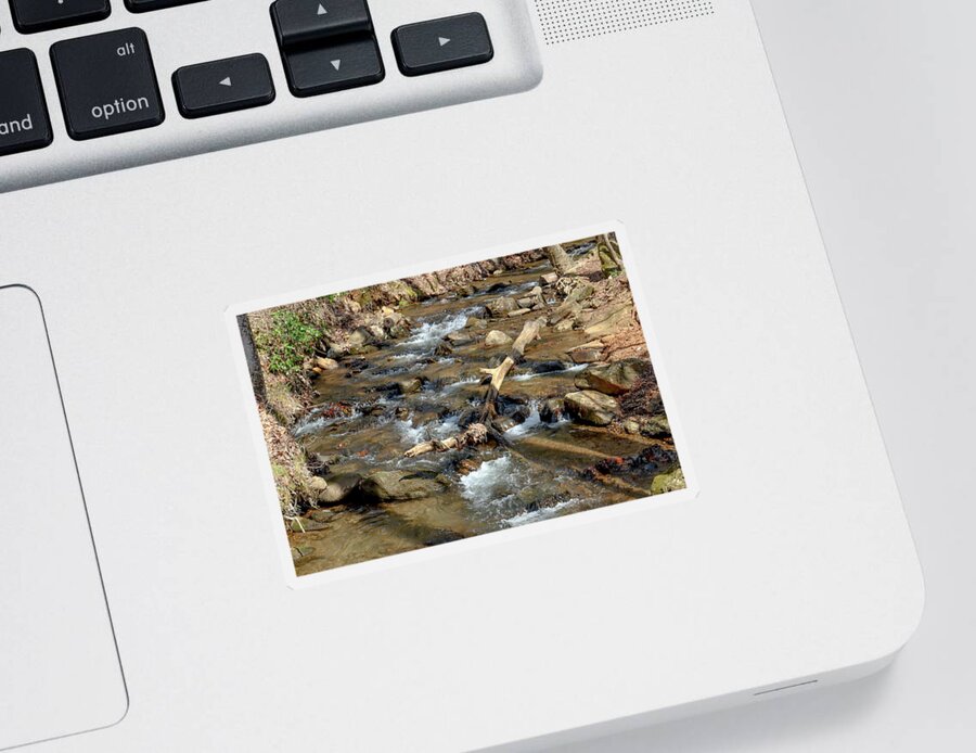 Afternoon Sticker featuring the photograph Full Amicalola Falls Creek by Ed Williams
