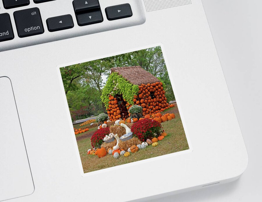 Pumpkins Sticker featuring the photograph Fun Fall by Gina Fitzhugh