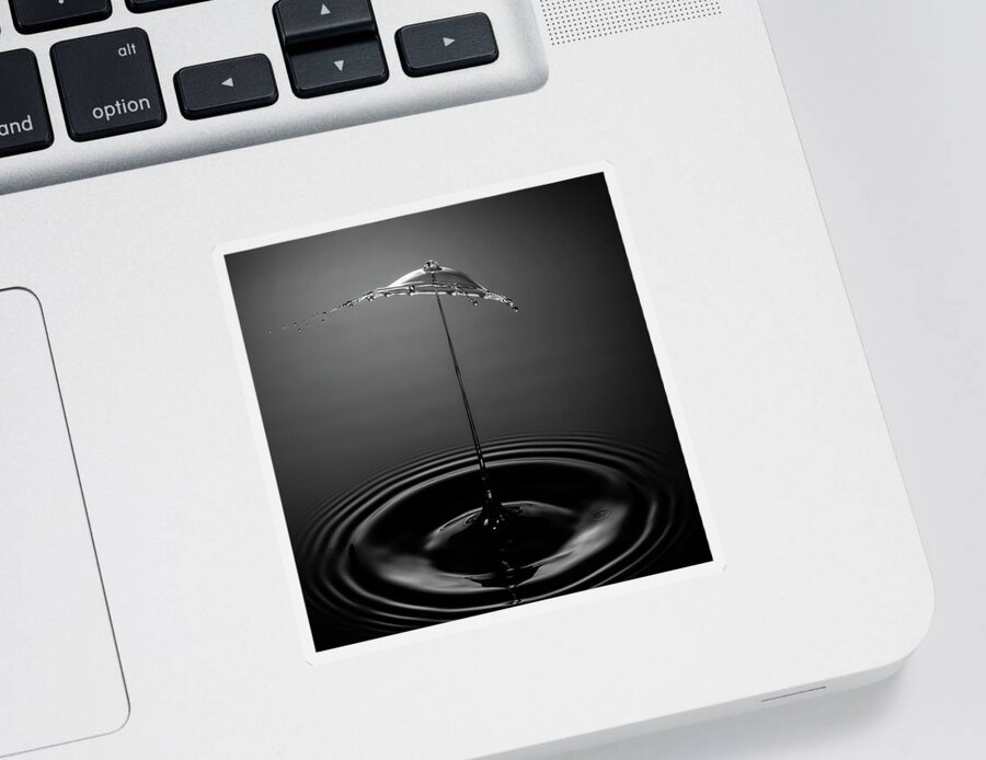 Waterdrop Sticker featuring the photograph Shades of Gray by Ari Rex