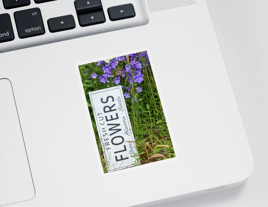 Flowers Sticker featuring the photograph Garden flowers with fresh cut flower sign 0722 by Simon Bratt