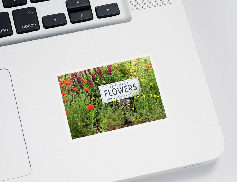 Arrangement Sticker featuring the photograph Garden flowers with fresh cut flower sign 0771 by Simon Bratt
