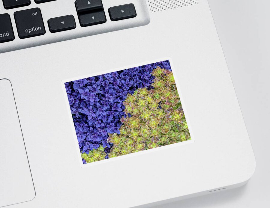 Purple Knight Sticker featuring the photograph Garden Foliage Diptych 2 by Adam Romanowicz