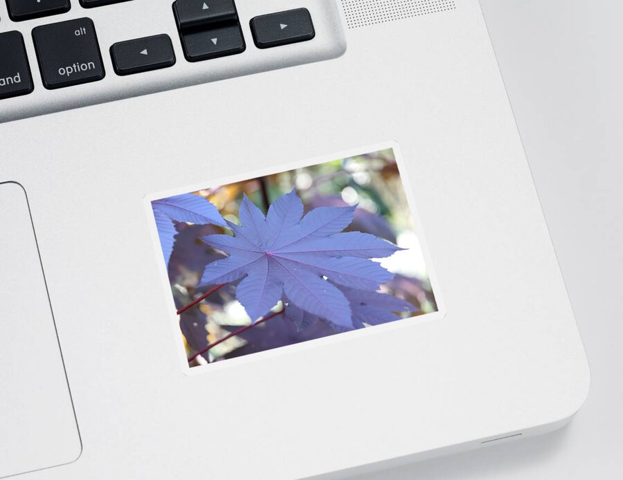 Castor Bean Plant Sticker featuring the photograph Giant Purple Leaves by Mingming Jiang