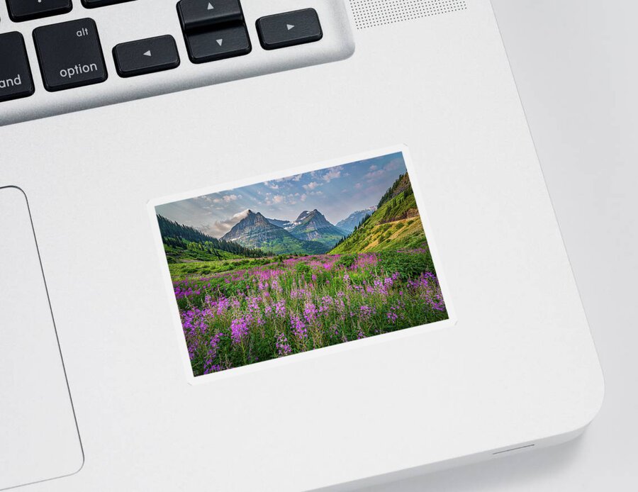 Glacier Sticker featuring the photograph Glacier Wildflowers by Peter Tellone