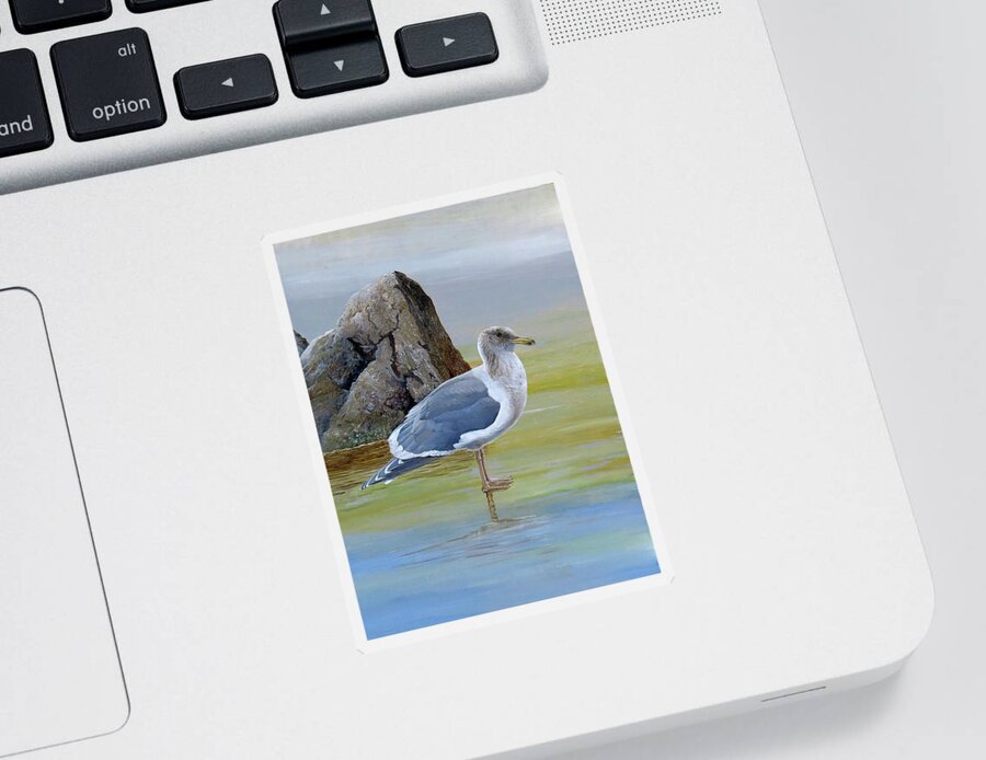 Glaucous-winged Gull Sticker featuring the painting Glaucous-winged Gull by Barry Kent MacKay