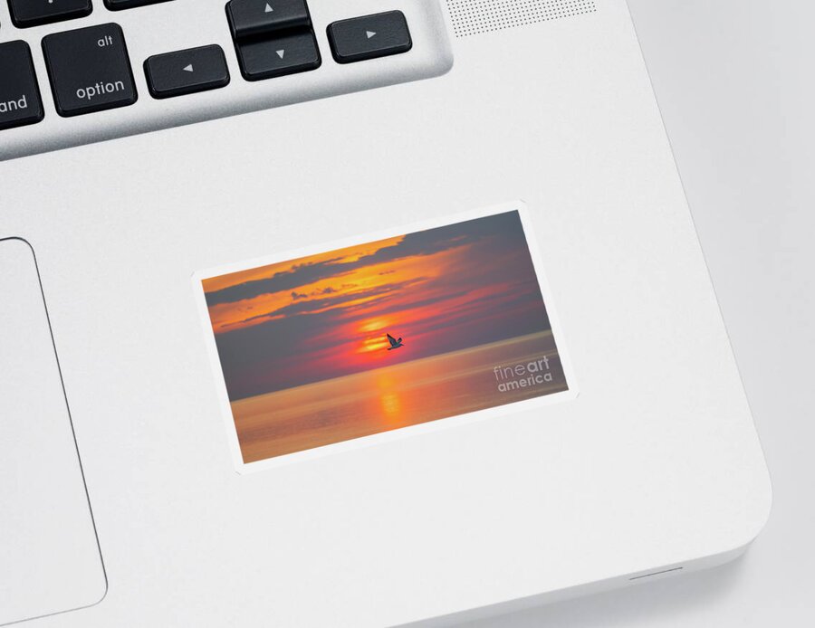 Gull Sticker featuring the photograph Glorious Sunrise by Sean Mills