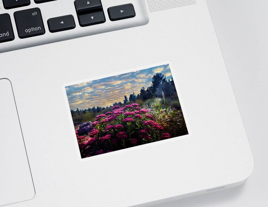 Summer Sticker featuring the photograph Glow of Summer by Laura Putman