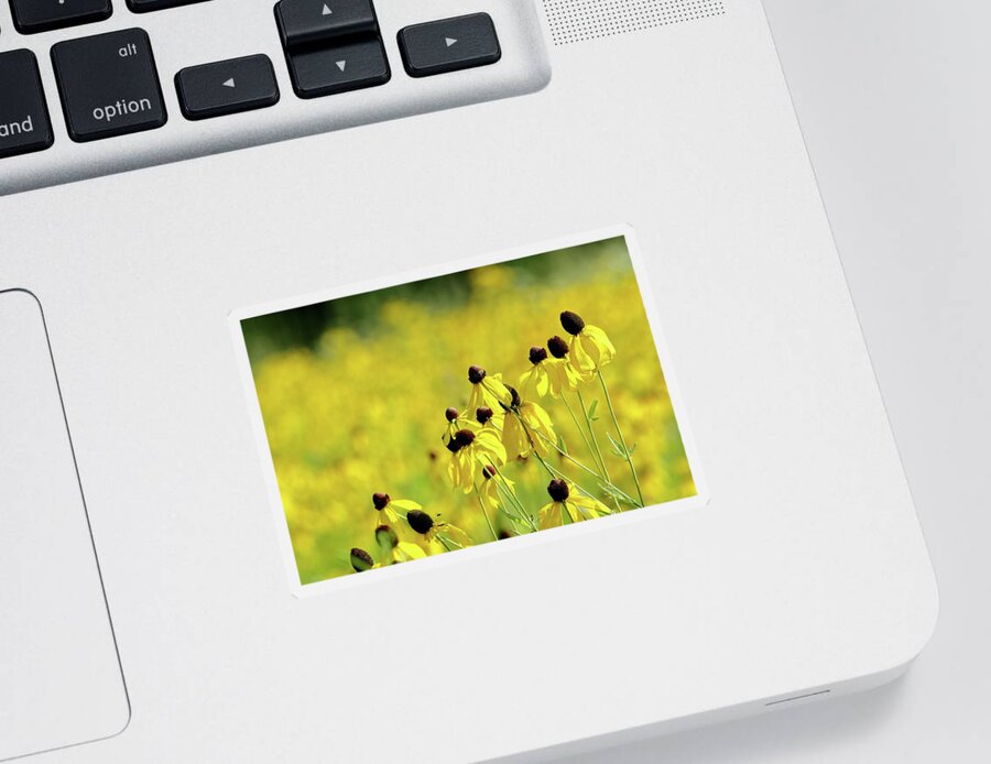 Nature Sticker featuring the photograph Glowing Golden Prairie by Lens Art Photography By Larry Trager
