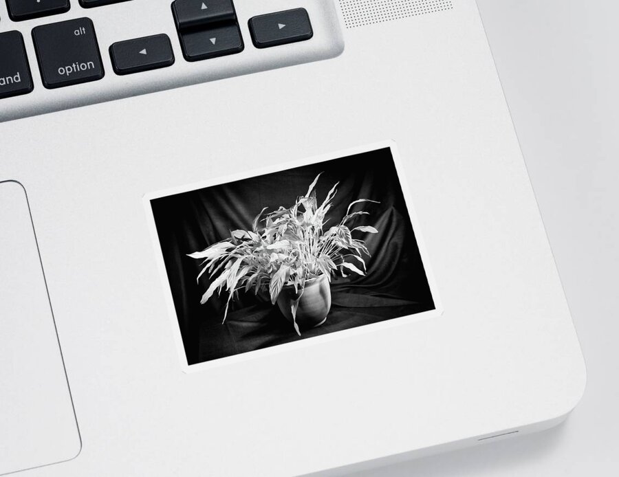 Infrared Sticker featuring the photograph Glowing Peace Lily by Steven Nelson