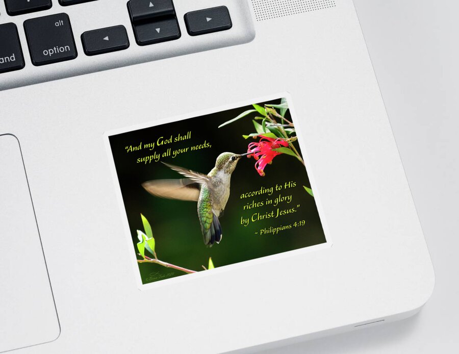 Inspirational Sticker featuring the photograph God Will Provide For Your Need by Brian Tada