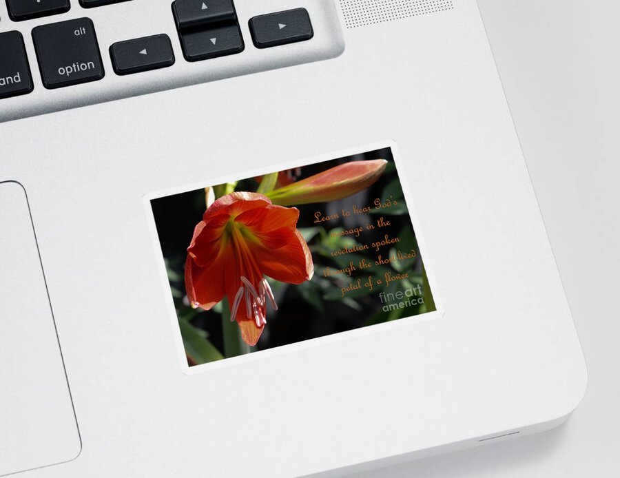 Flower Sticker featuring the photograph God's Message - Flower Petal by Dale Powell